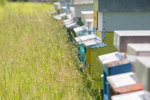 Fotografie z fotogalerie ubytování La Collina delle Mignole v destinaci Moruzzo