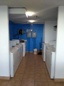 A kitchen or kitchenette at Pokai Bay Penthouse Studio