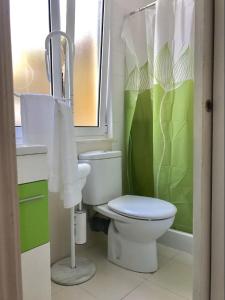 a bathroom with a toilet and a green shower curtain at In the heart of Lisbon in Lisbon