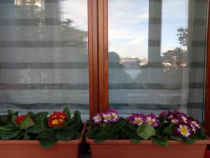 Balkón nebo terasa v ubytování B&B Xenia