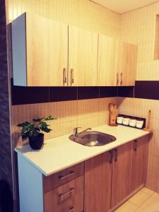 Una cocina o kitchenette en Vikend Kuća Iman 40 fotos más