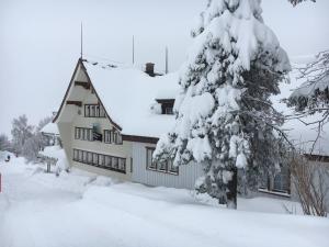 Hirschen Wald - Gasthaus & Bäckerei v zimě
