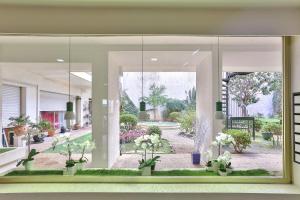 カンヌにあるStudio Cosy Pradignacの鉢植えの庭園を望む窓