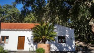 una casa blanca con una palmera delante de ella en Casinha Laranja, en Monchique