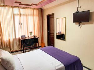 TV a/nebo společenská místnost v ubytování Hotel Somagg
