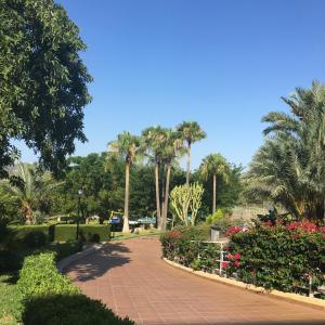 Zahrada ubytování Hotel Club Cala Romani