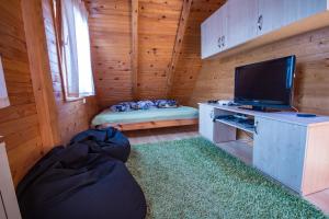 Televízia a/alebo spoločenská miestnosť v ubytovaní Villa Jelenic by Bertovic