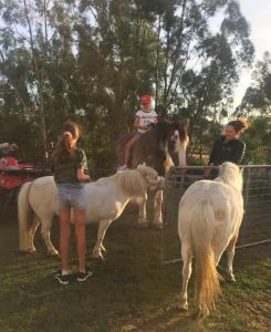 Φωτογραφία από το άλμπουμ του Glamping Gypsy Hobart στο Ρίτσμοντ