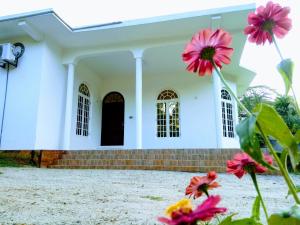 une maison blanche avec des fleurs roses au premier plan dans l'établissement The Inn At Matale, à Matale