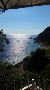 a view of the ocean from a house at Apartments Perazica Do in Sveti Stefan