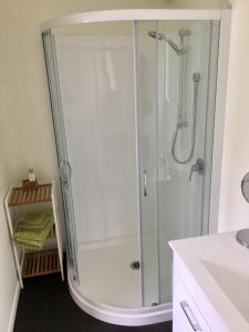 eine Dusche mit Glastür im Bad in der Unterkunft Orange Tree Cottage -bike friendly in Opotiki