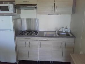 Kuchyň nebo kuchyňský kout v ubytování Camping Deva
