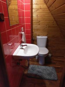 Kúpeľňa v ubytovaní Góralski dom w Parku Krajobrazowym + 27 fotografií