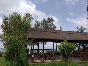 Zahrada ubytování Top Twelve Hotel - Lalibela