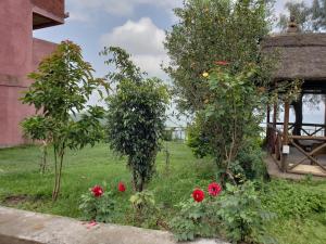 Zahrada ubytování Top Twelve Hotel - Lalibela