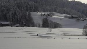 L'établissement Ferienwohnung Bechter en hiver