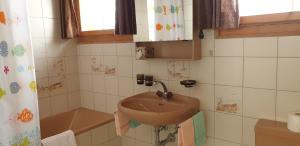 Koupelna v ubytování Hotel Gravas Lodge - Das Hotel für Gäste mit Hund + 24 fotografií