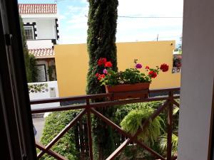 a balcony with a pot of flowers on it at Mi Rincon en La Pedrera in Tejina