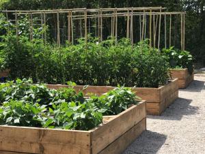 A garden outside Casa Minotti Relais