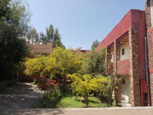 Zahrada ubytování Top Twelve Hotel - Lalibela