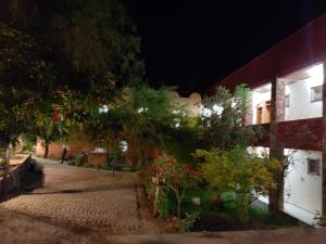 Zahrada ubytování Top Twelve Hotel - Lalibela