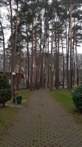 Vonkajšia záhrada v ubytovaní Apartament Maria