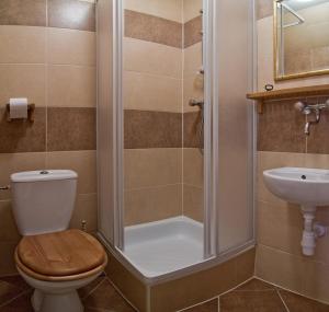 a bathroom with a shower and a toilet and a sink at Willa Swoboda Garden Spa in Zakopane