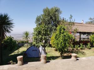 Zahrada ubytování Top Twelve Hotel - Lalibela