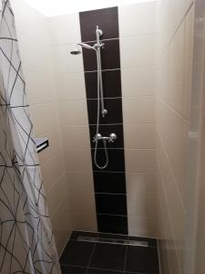 Kúpeľňa v ubytovaní Apartmány pod Divadlem