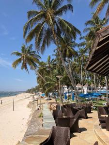 a beach with chairs and palm trees and the ocean at Kenya Bay Beach Hotel in Bamburi