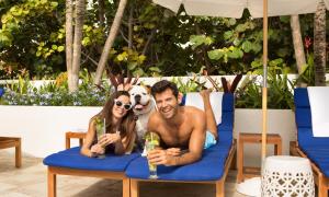 Hosté ubytování Sole Miami, A Noble House Resort