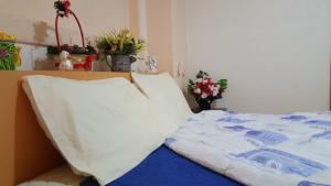 Fotografie z fotogalerie ubytování Vila Dule v destinaci Ohrid