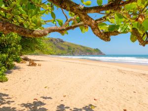 uma vista para uma praia com uma árvore em Pousada da Rosa em Ilhabela