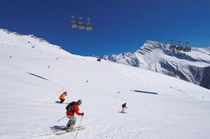 Skifahren in diesem Bauernhof oder in der Nähe