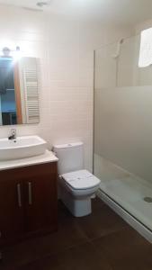 ein Bad mit einem WC, einem Waschbecken und einer Dusche in der Unterkunft Can Marxant in Molló