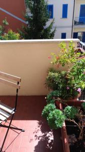 una panchina seduta accanto a un muro con piante di B&B Alcione a Pescara