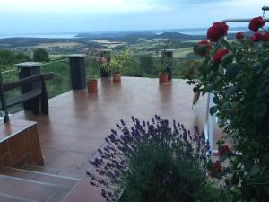 a patio with flowers and a view of the valley at Borospince Vendégház in Pécsely