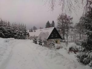 uma casa coberta de neve com árvores e arbustos em Penzion Kunvald Končiny em Kunvald