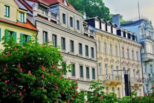 grupa budynków z drzewem na pierwszym planie w obiekcie Hotel Renesance Krasna Kralovna w Karlowych Warach