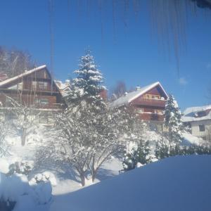Kış mevsiminde Biały domek