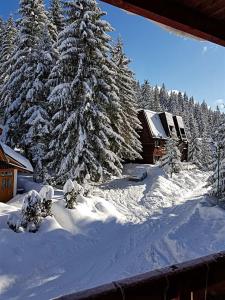 Foto de la galería de Vikend Kuća Iman en Vlasic