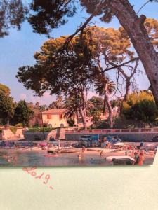 a group of people swimming in a swimming pool at villa Siana in Antibes