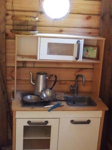 eine Küche mit einer Spüle und einer Mikrowelle in der Unterkunft Chalets du Bois de Vache in Le Poët-Célard