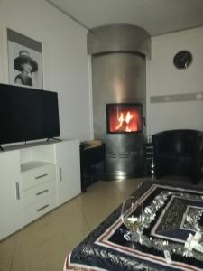 a living room with a fireplace and a tv at Villaci Business Apartments in Leimen