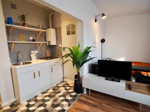 a kitchen with a sink and a tv on a counter at Apartament Mazowiecka 125 in Krakow