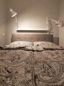 ザブジェにあるMISVEST Karol XVのベッドルーム1室(ランプとラグ付きのベッド1台付)