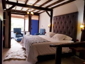 a bedroom with a large bed and two blue chairs at The Patagonian Lodge in Coihaique