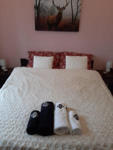 Łóżko lub łóżka w pokoju w obiekcie Apartament wSPAniały.