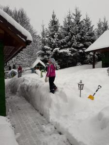 Una niña está de pie en la nieve. en Domki i Apartamenty Rogate Anioły, en Wetlina