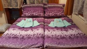 Fotografia z galérie ubytovania Apartman Škrabálek v destinácii Rokytnice nad Jizerou
